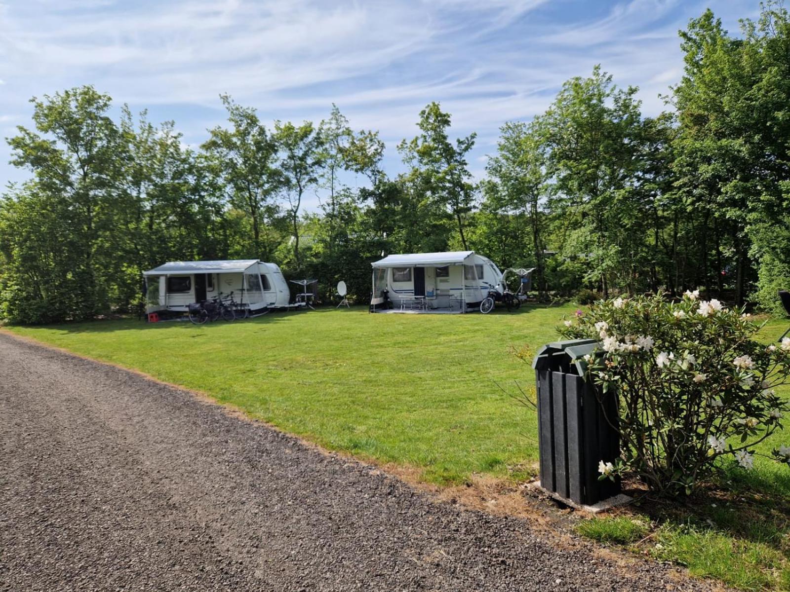 Camping Alkenhaer Appelscha Lege Kampeerplaats Ngoại thất bức ảnh